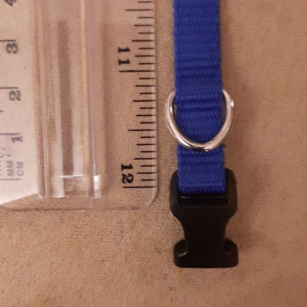 🐶🐕Top Paw-Dog Collar Small, New without Tags, Free with Purchase!